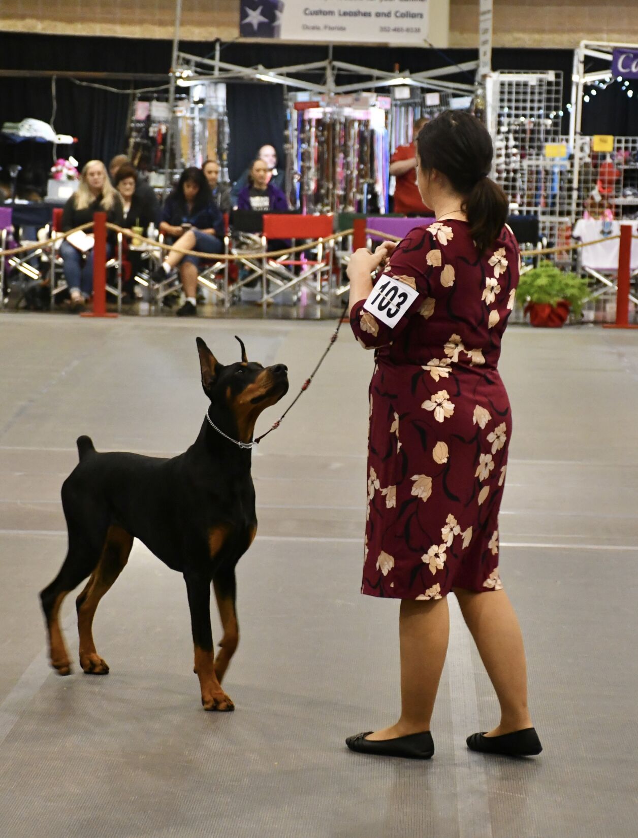 Dog show 4.JPEG